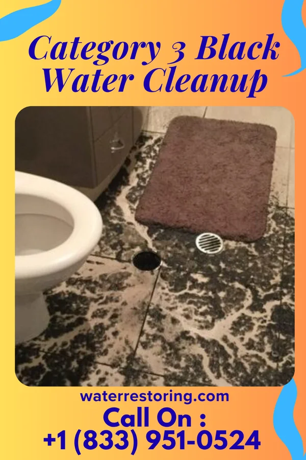 Category 3 Black Water Cleanup in Berrysburg, PA