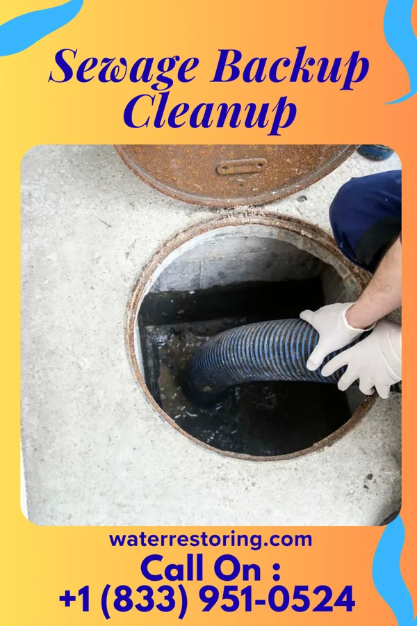 Sewage Backup Cleanup in Berrysburg, PA