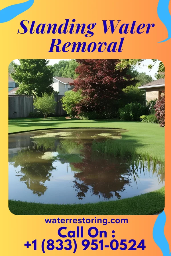 Standing Water Removal in Berrysburg, PA